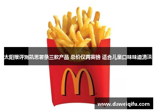 太阳报评测凯恩薯条三款产品 总价仅两英镑 适合儿童口味味道清淡